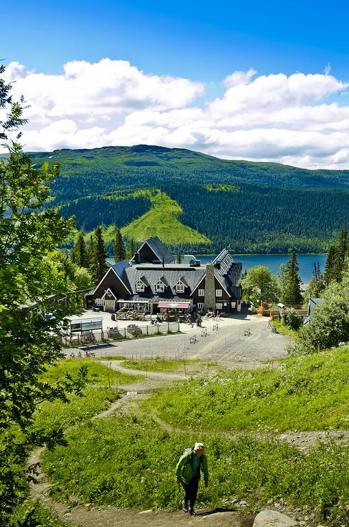 Fjaellgarden Ski-in Ski-out Hotelli 3*