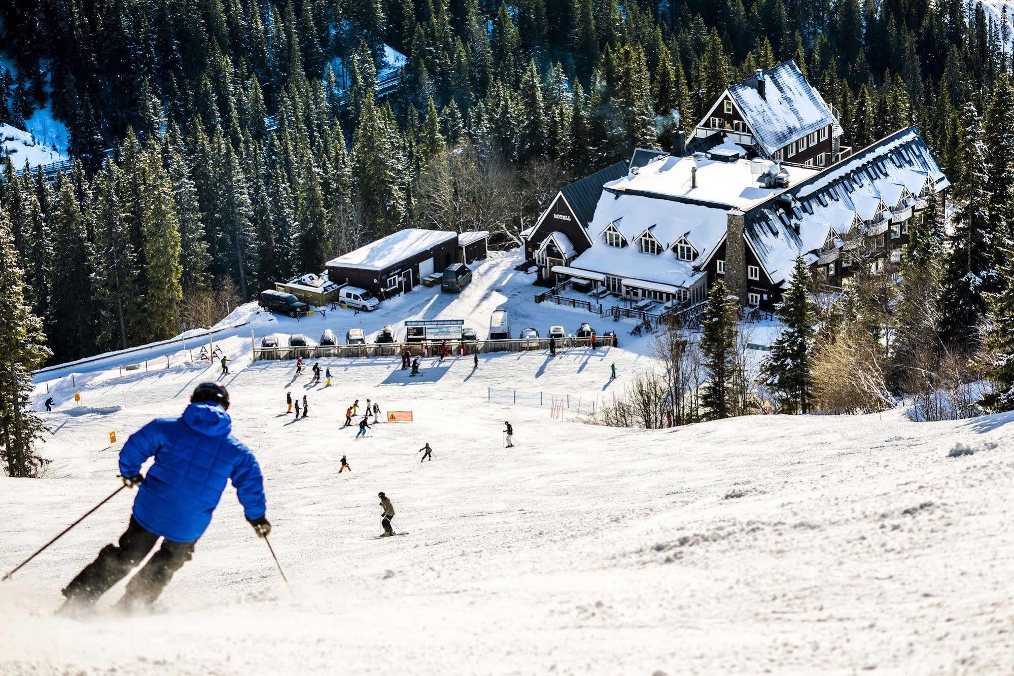 Hotell Fjällgården Ski-in Ski-out 3*